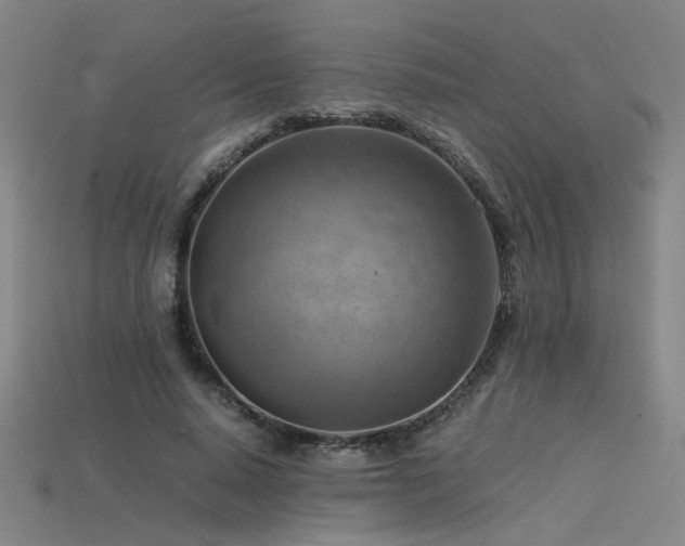 X0000115800640200911131400