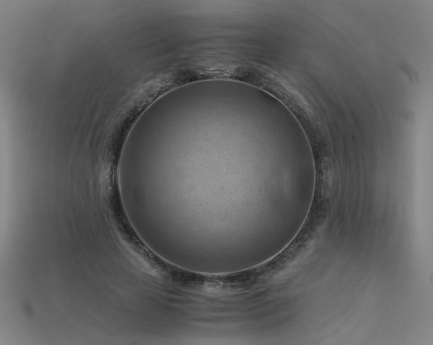 X0000115800641200911131400