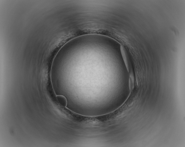 X0000115800642200911131400