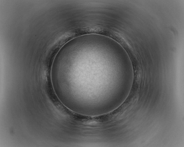 X0000115800643200911131400