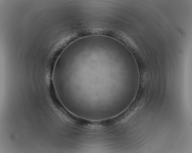 X0000115800644200911131400