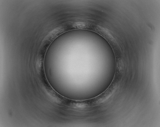 X0000115800645200911131400