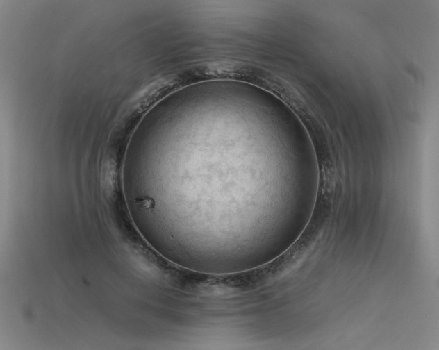 X0000115800648200911131400