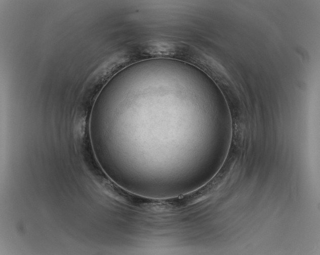 X0000115800652200911131400