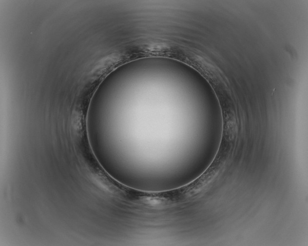 X0000115800654200911131400