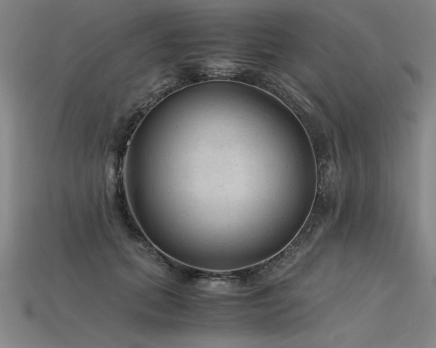 X0000115800655200911131400