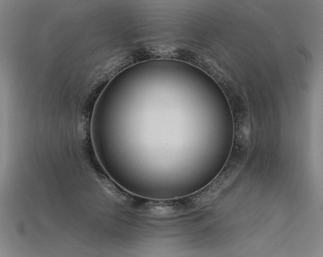 X0000115800658200911131400