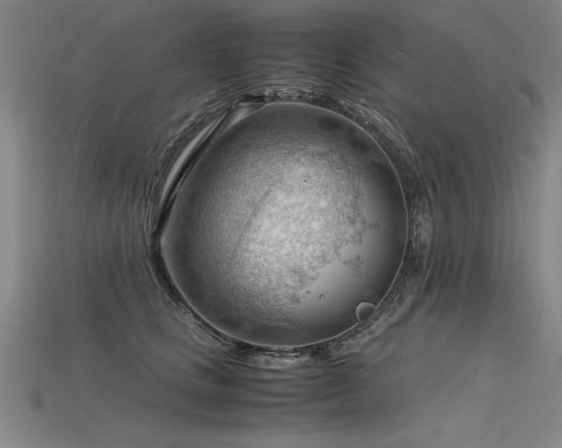X0000115800661200911131400