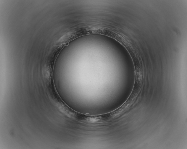 X0000115800662200911131400