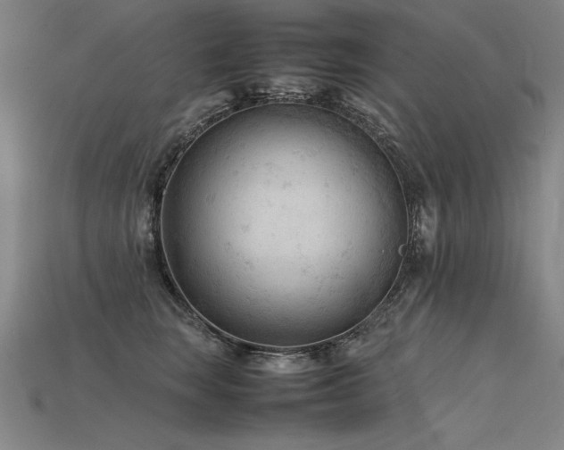 X0000115800663200911131400