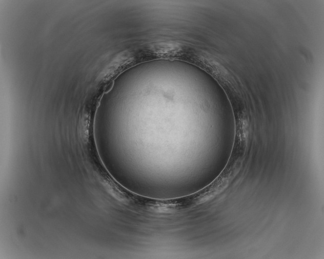 X0000115800664200911131400