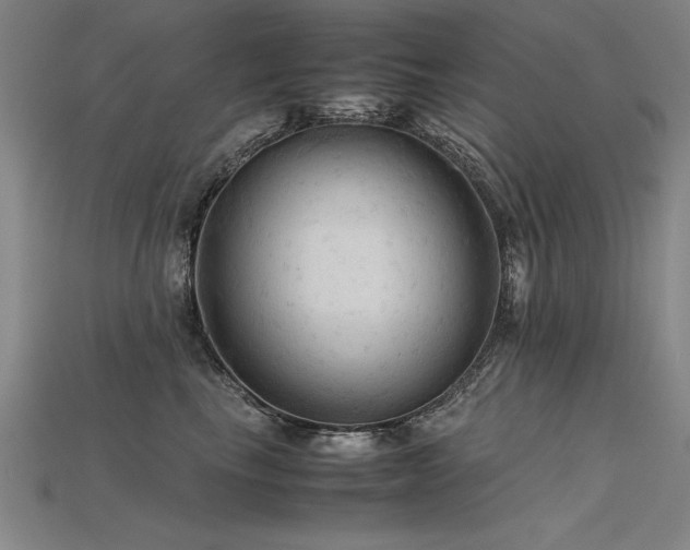 X0000115800665200911131400