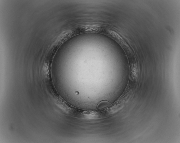 X0000115800667200911131400