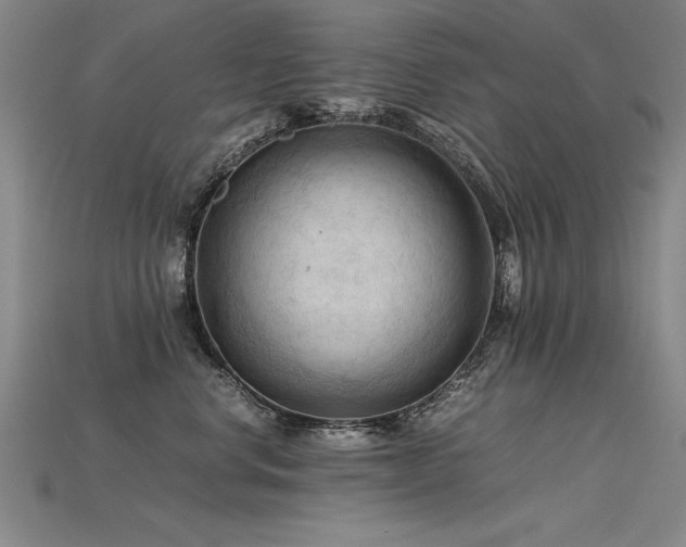 X0000115800668200911131400