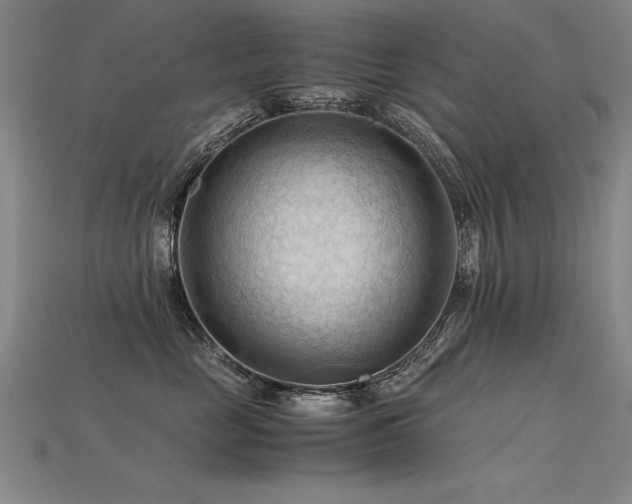X0000115800669200911131400