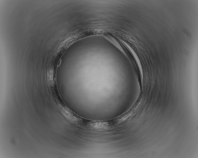 X0000115800670200911131400