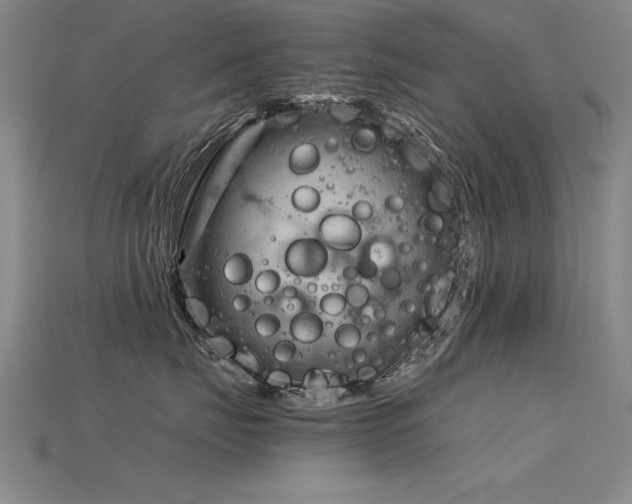 X0000115800671200911131400
