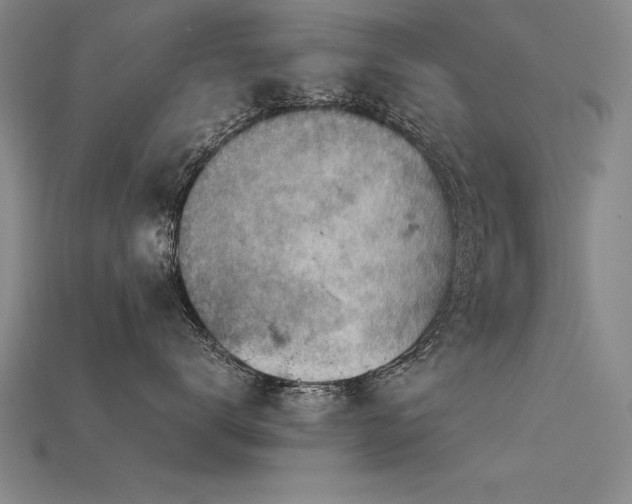 X0000115800672200911131400