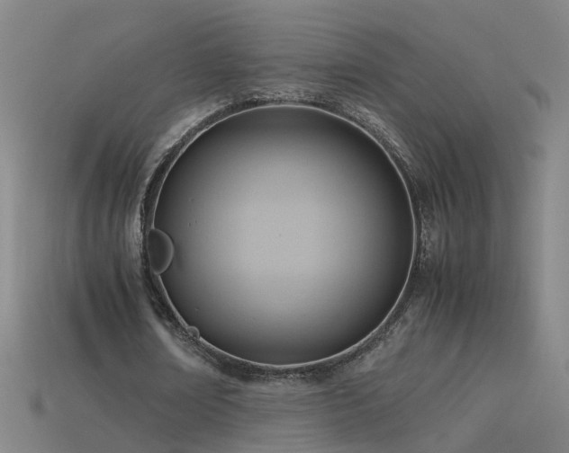 X0000115800674200911131400
