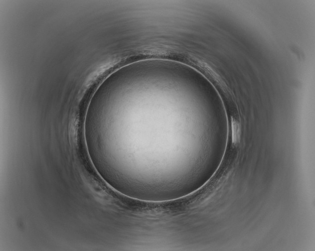 X0000115800675200911131400