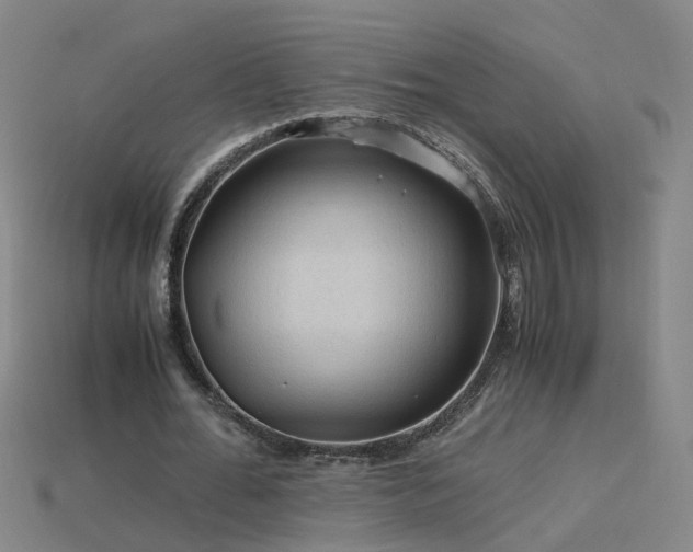 X0000115800676200911131400