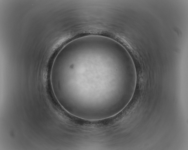 X0000115800679200911131400
