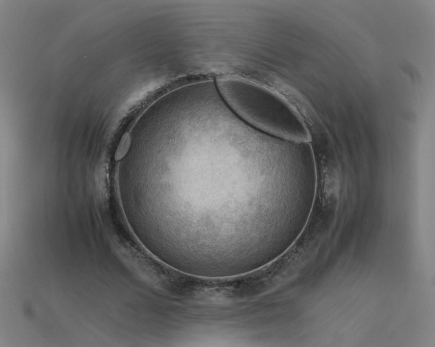 X0000115800680200911131400