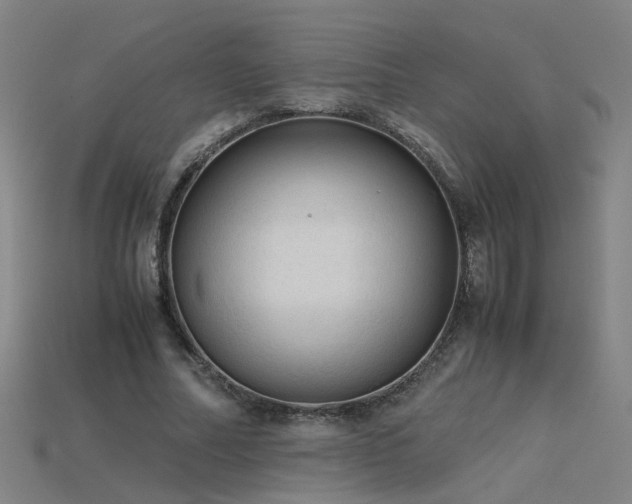 X0000115800682200911131400