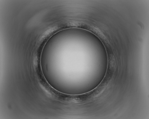X0000115800683200911131400