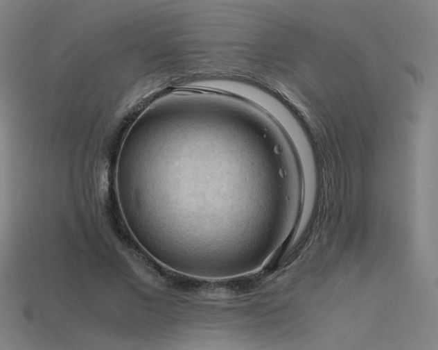 X0000115800685200911131400