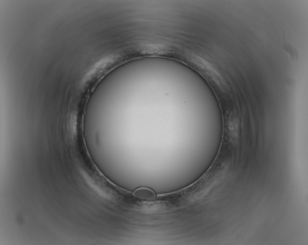 X0000115800686200911131400