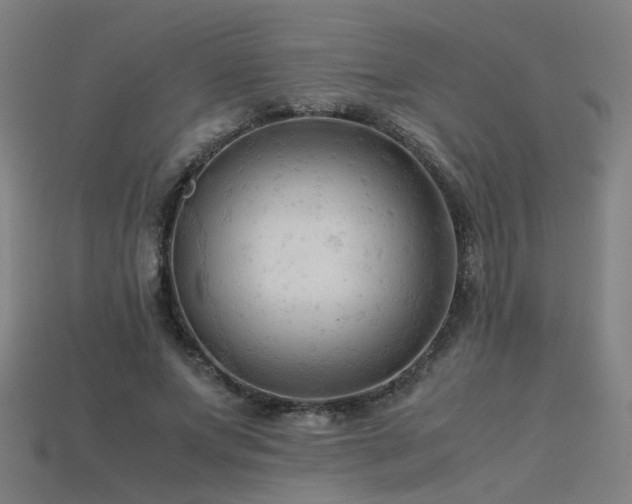 X0000115800687200911131400
