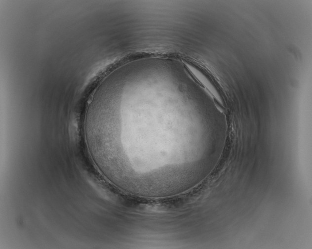 X0000115800688200911131359