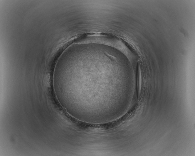 X0000115800689200911131359