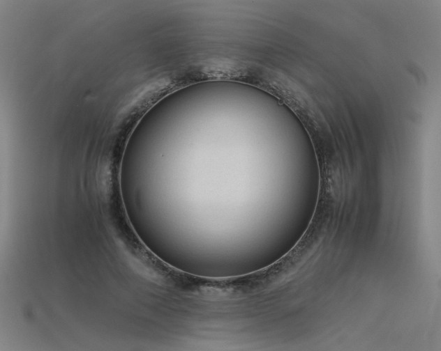 X0000115800690200911131359