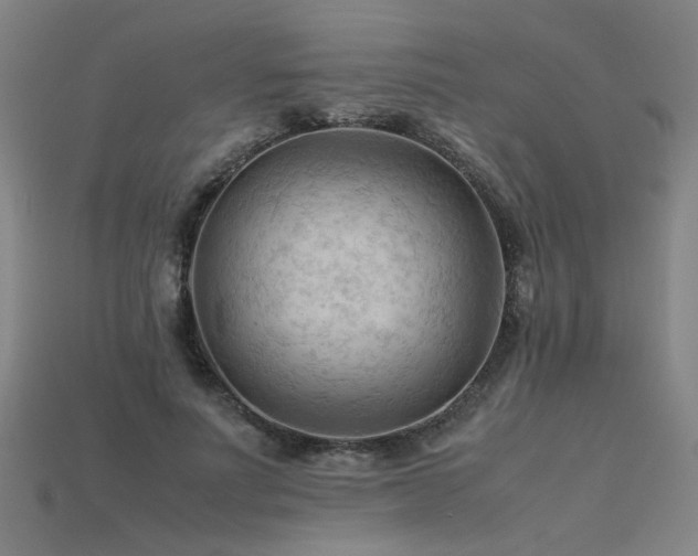 X0000115800691200911131359