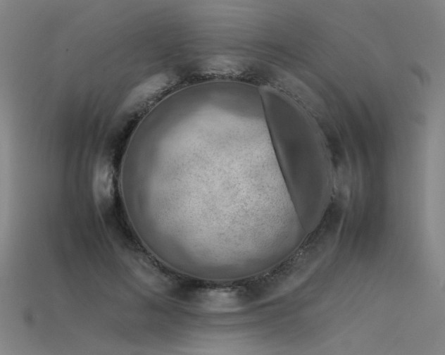 X0000115800692200911131359