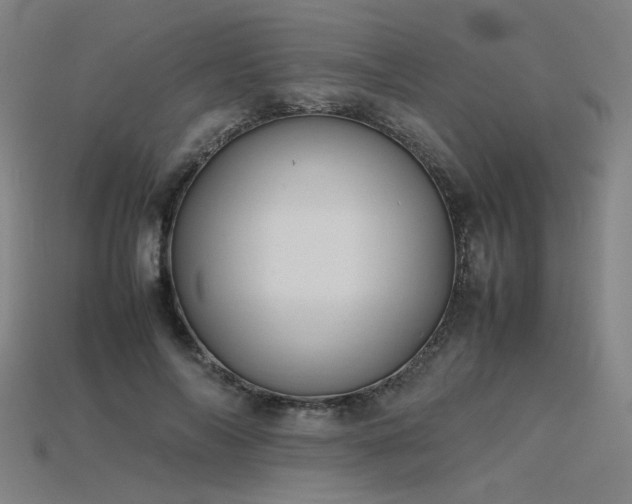 X0000115800694200911131359