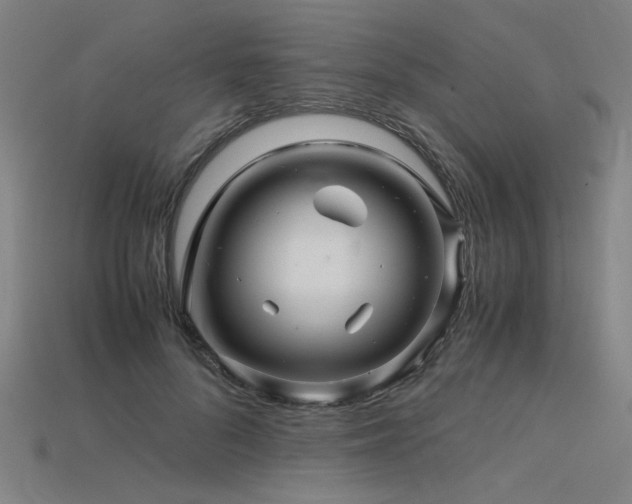 X0000115800696200911131359