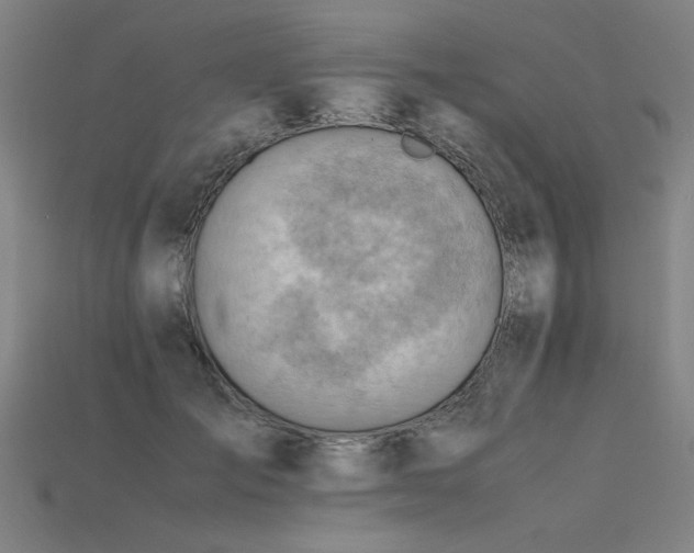X0000115800701200911131359