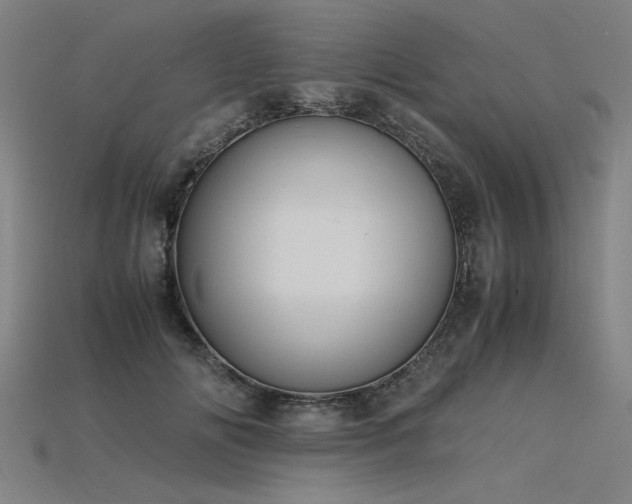 X0000115800702200911131359
