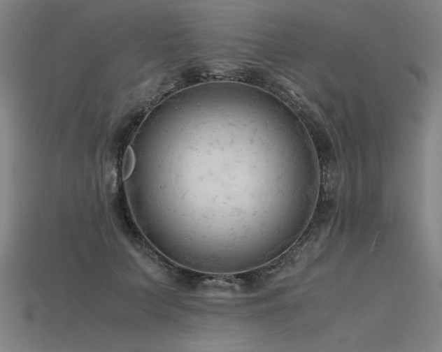 X0000115800703200911131359