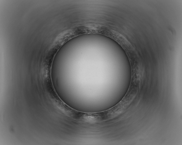 X0000115800706200911131359