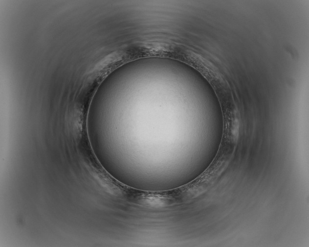 X0000115800710200911131359