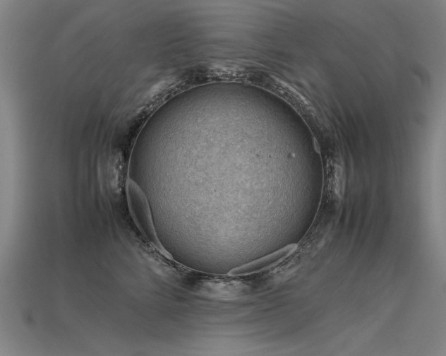 X0000115800712200911131359