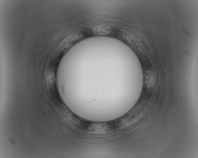 X0000115800713200911131359