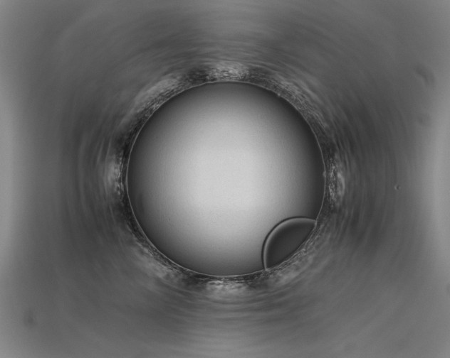 X0000115800714200911131359