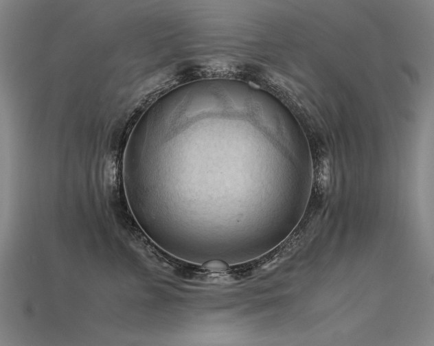 X0000115800715200911131359