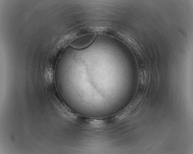 X0000115800718200911131359
