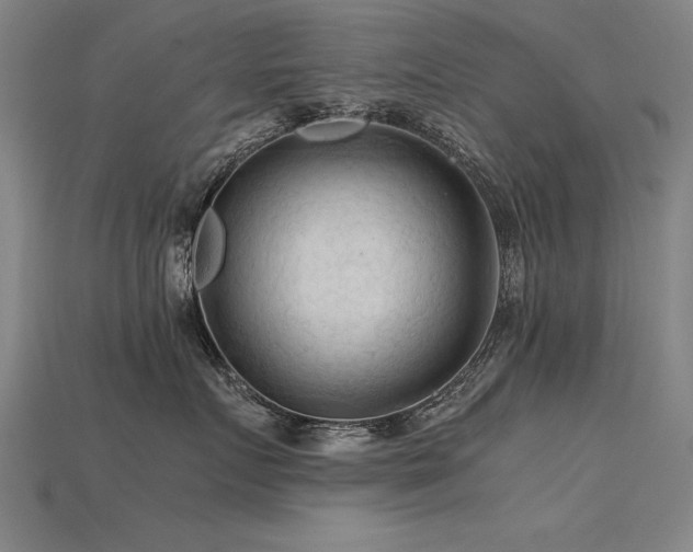 X0000115800719200911131359
